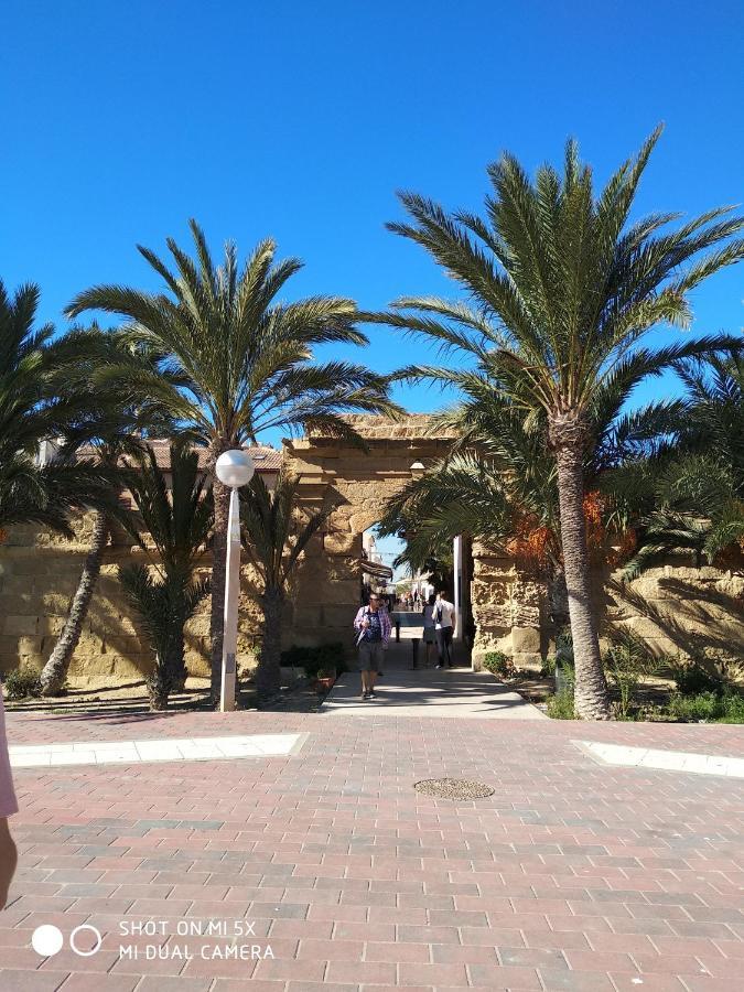La Mariña Residencial El Pinet Beach מראה חיצוני תמונה